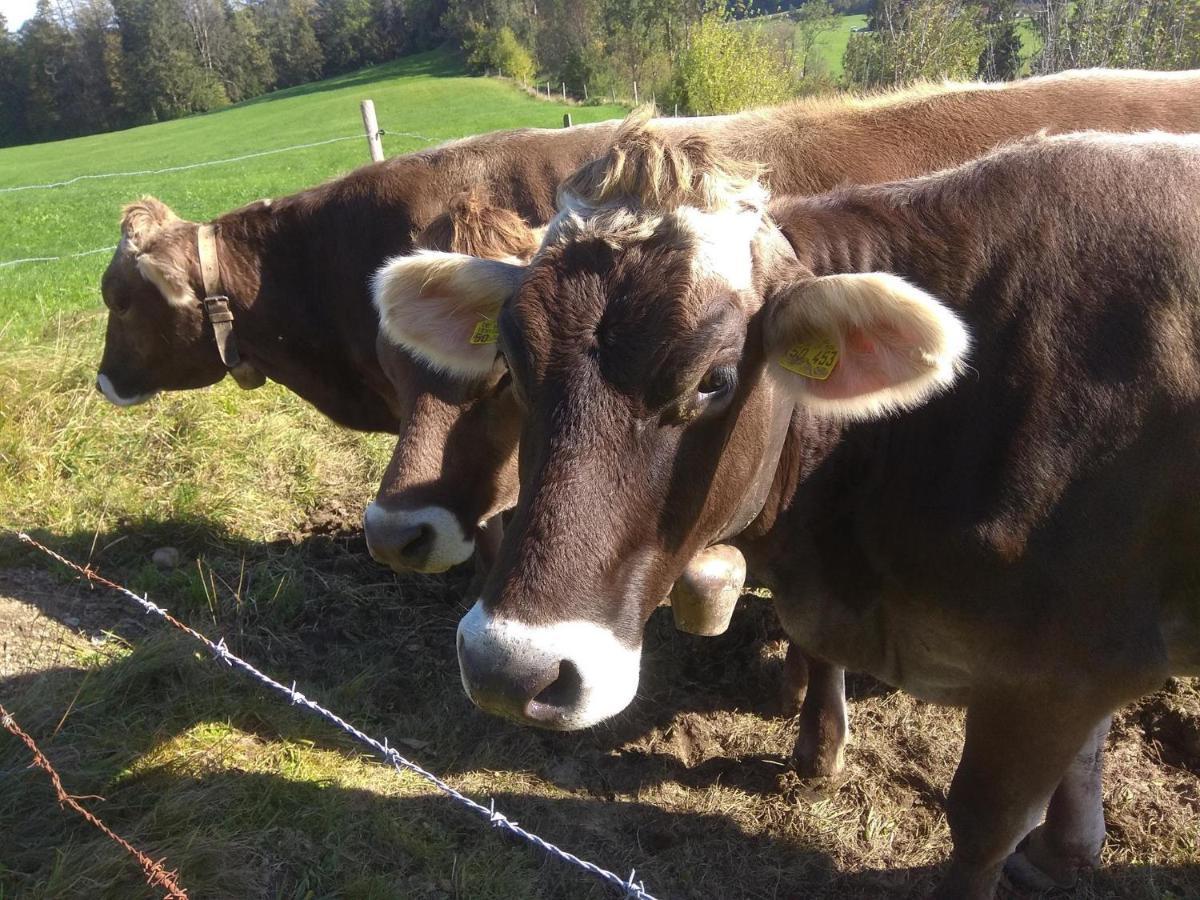 Ferienwohnung Trifts | Einzelbetten | Parkplatz Wangen im Allgäu Exterior photo
