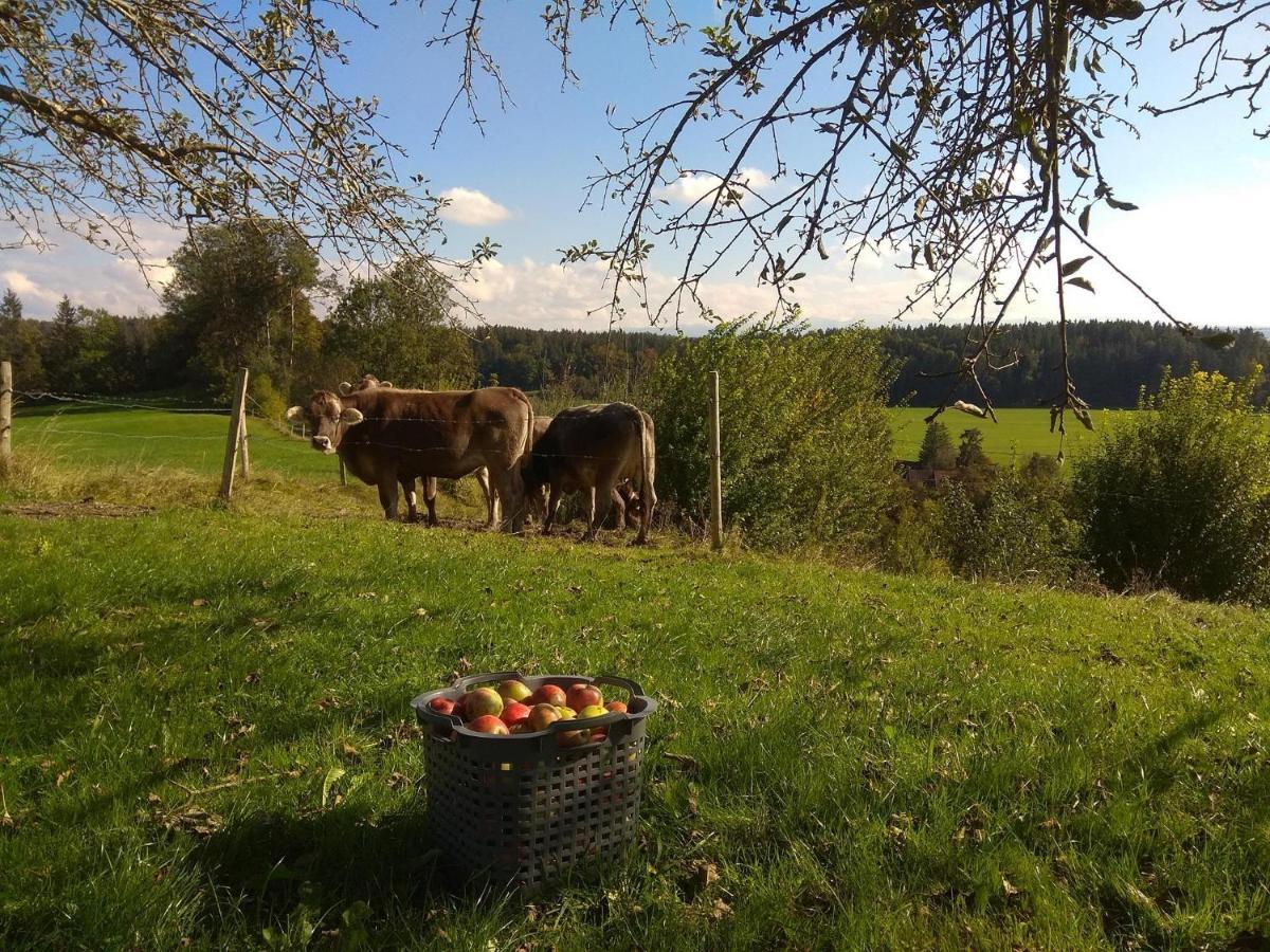 Ferienwohnung Trifts | Einzelbetten | Parkplatz Wangen im Allgäu Exterior photo